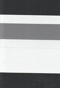Рулонные шторы день-ночь для проема Салерно, серый 2002 купить в Одинцово с доставкой